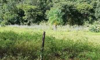 Imagem 4: Vendo chácara em aurora do Tocantins
