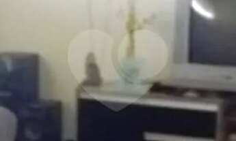 Imagem 2: Imóvel comercial em Bras de Pina [VP