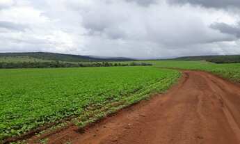 Imagem 2: 206 alqueires em Doverlandia-Go