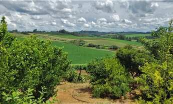 Imagem 5: Fazenda / Sítios / Chácaras com 2 dormitórios à venda em Machado