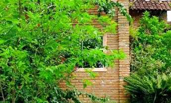 Imagem 7: Sítio à venda no Rio das Pedras, em Apiaí/SP 12 alqueires