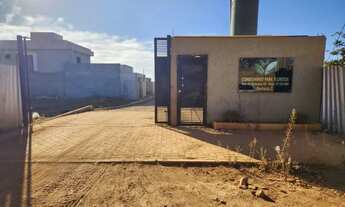 Imagem 6: Vendo lote na 26 de setembro 105 mil rua 02