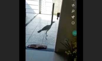 Imagem 3: Imóvel à venda