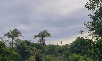 Imagem 3: OPORTUNIDADE PARACURU TERRENO COM MAIS DE 16000m2 COM RIACHO NOS FUNDOS