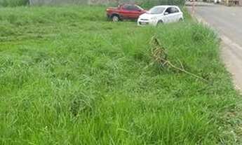 Imagem 2: Lote Próximo ao Jardins França Lote à Venda, 953.00 por R$ 1060000.00 no setor Parque Athe