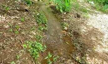 Imagem 5: Vende-se chácara de 16 mil metros em Trindade-GO