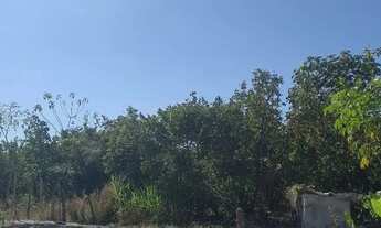 Imagem 3: Casa pra vende riachinho