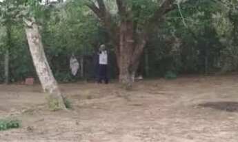 Imagem: Venda de terreno