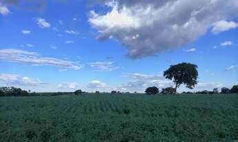 Imagem 2: Sítio na região de Prata Minas Gerais