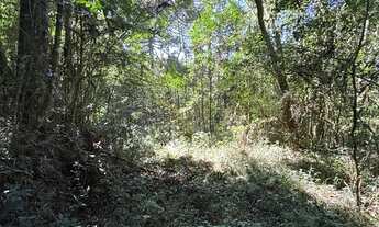 Imagem 7: Chácara com 2 Dormitorio(s) localizado(a) no bairro Fazenda Souza em Caxias do Sul / Ref.