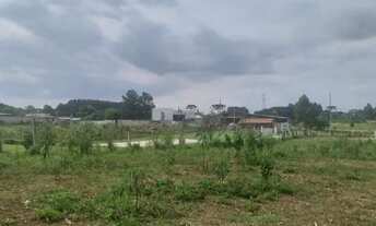 Imagem 4: Chácara 3.500m2 em SJP próximo a Audi ,Electrolux Troca , Vende