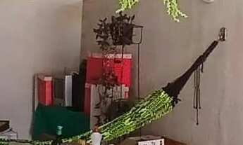 Imagem 4: Casa à venda em São José com 360m², 6 Quarto(s) e 2 Vaga(s)