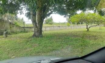 Imagem 7: Sítio Completo no Sapé - Escriturado e Todo Murado!