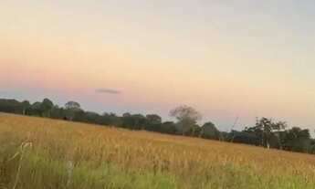 Imagem 5: Fazenda a venda, em São Domingos / Goiás!