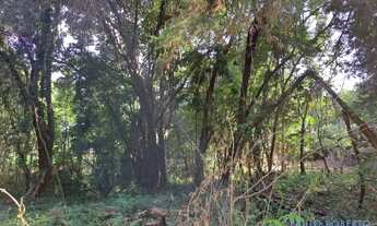 Imagem 9: TERRENO - COUNTRY CLUB - SP