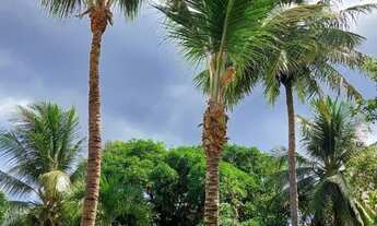 Imagem 6: Porto de Sauipe Réveillon Carnaval Temporada