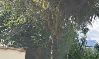 Imagem 3: Vendo casa em Adrianópolis