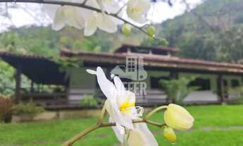 Imagem 4: Fazenda com 4 dormitórios à venda, 822800 m² por R$ 12.000.000,00 - Imbaú - Silva Jardim/R