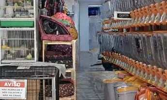 Imagem 6: Pet shop com veterinária de esquina em Guarulhos. Ref; 1018