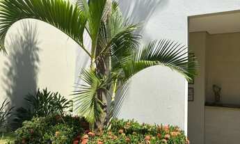 Imagem: Casa Para Venda No Bairro Vigilato Pereira