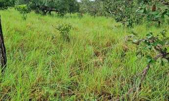 Imagem 3: Fazenda 158 hectares valor 1.120.000