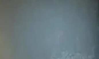 Imagem 3: Jardim Presidente