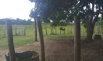 Imagem 3: Terra com 105ha aceito carro e casa