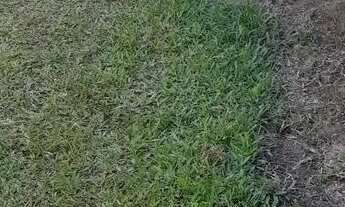 Imagem 3: Casa Casa com 1 dormitório