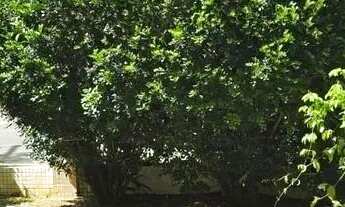 Imagem: Excelente apartamento na Praca Ana Lucia