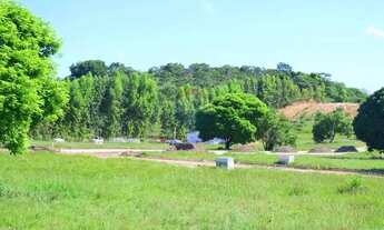 Imagem 6: TERRENOS NO LOTEAMENTO MIRANTE DE MARAGOGI