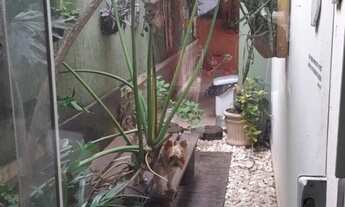 Imagem 5: Casa aconchegante no residencial Samambaia