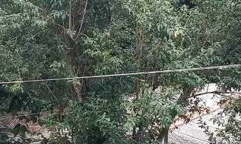 Imagem 7: Terreno Bairro Santa Isabel