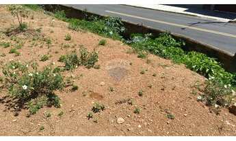 Imagem 3: Excelente Oportunidade Lote Plano de 310 m² no Jardim dos Manacás - Valinhos/SP