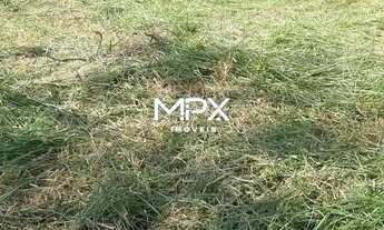 Imagem 2: Terreno à venda e para alugar em Piracicaba, Santa Rita, com 1007.5 m²