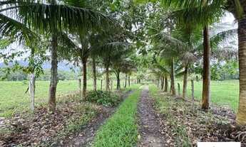 Imagem: Áreas à venda em rua pública, CENTRO