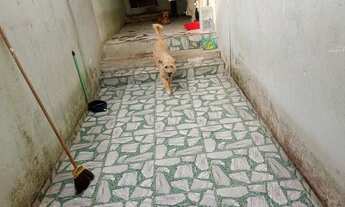 Imagem 2: Aluga- se casa Casa com 2 dormitórios