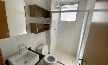 Imagem 6: Locação de Apartamentos / Padrão na cidade de Araraquara