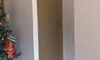 Imagem: Casa no rio Araguia com o Rio do do peixe