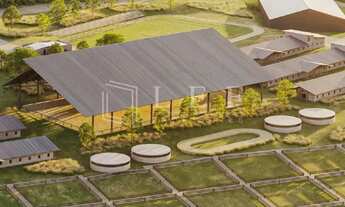 Imagem 3: Feito para o Cavalo, perfeito para o Cavaleiro