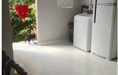 Imagem 6: Imóvel para aluguel tem 100 metros quadrados com 2 quartos em Nordeste de Amaralina - Salv