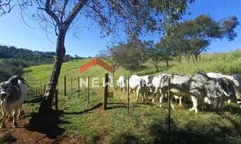 Imagem 7: Chácara em Santa Lúcia - Centro - Santa Lúcia/PR