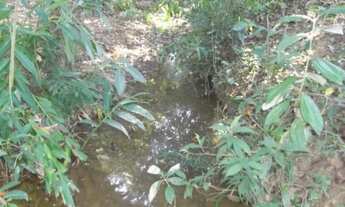 Imagem 4: Jaboticatubas sítio de 4600m, c mina dágua casa com 2 quartos.WhatAap * Guilherme