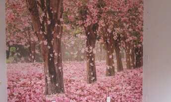 Imagem 5: Salao comercial para Venda Vila Leopoldina, São Paulo