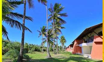 Imagem 5: Vendo em ilhéus. apartamentos de 2/4 ou chalés de 3/4 . praia de pérola. tel .71.98103.038