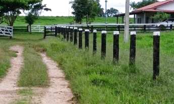 Imagem 12: Fazenda 210 alqueires Entre Espigão D' Oeste e Pimenta Bueno