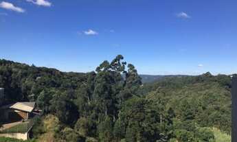 Imagem 7: CAXIAS DO SUL - Apartamento Padrão - BELA VISTA