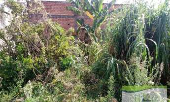 Imagem 7: Terreno em Vila Rosalina - Franco da Rocha