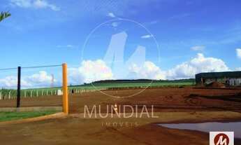 Imagem 3: Terreno (terreno normal