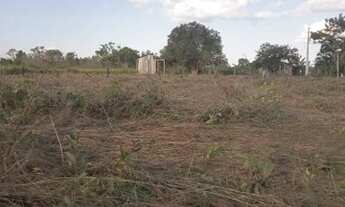 Imagem 6: Sitio no km 17 sentido humaita