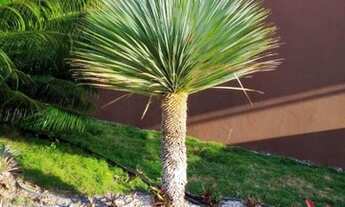 Imagem 5: Já pensou em sair da cidade e morar em um belissimo sitio com piscina privativa !!!!